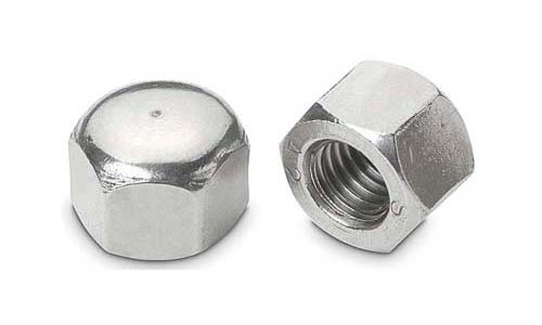 Hex Cap Nuts